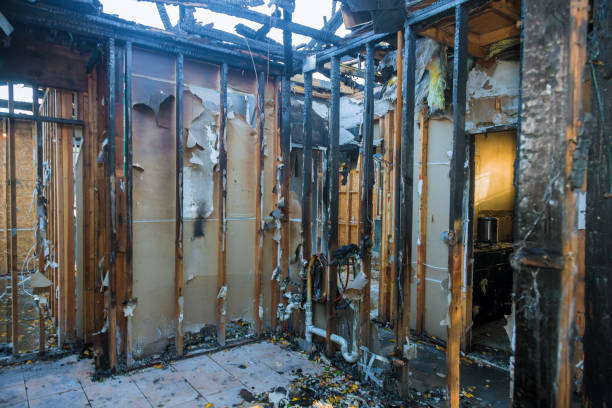 Professional Fire Damage Removal technician working in Wildewood, MD